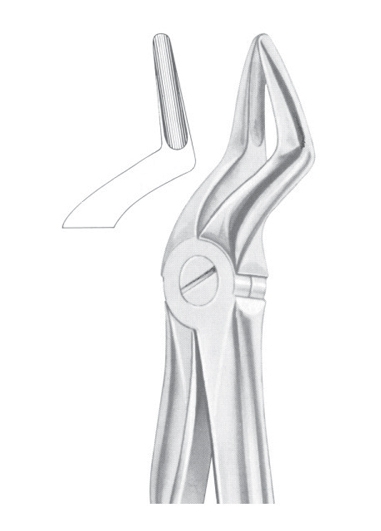 Extracting Forceps English Pattern